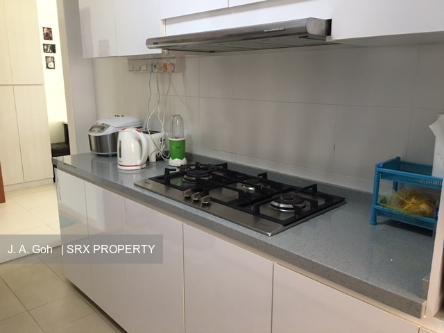 Blk 10B Tiong Bahru View (Bukit Merah), HDB 4 Rooms #180048142